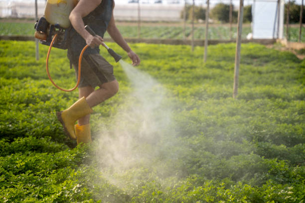 Best Local Pest Control Services  in Weeping Water, NE