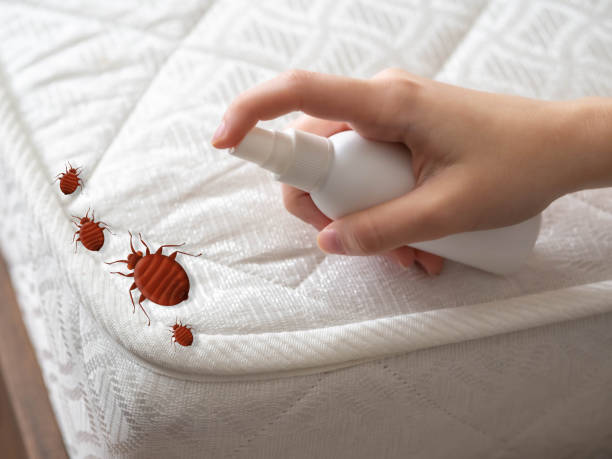 Best Residential Pest Control  in Weeping Water, NE