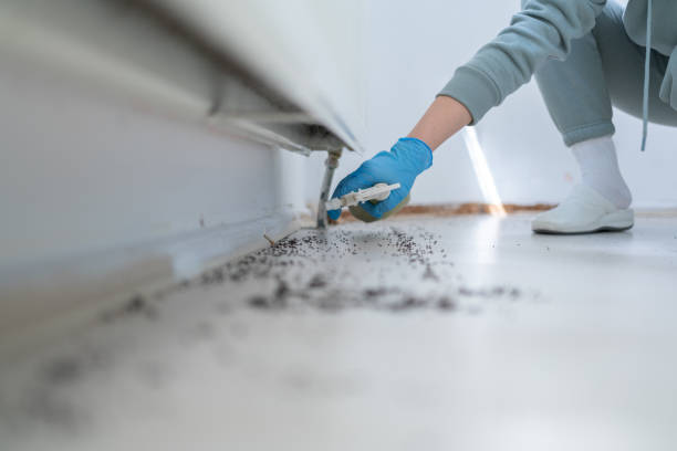 Best Affordable Pest Control Services  in Weeping Water, NE